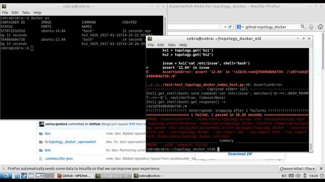 005. (Part 1) Try to patch topology_docker to run openswitch test case смотреть онлайн