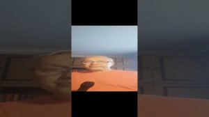 Песня. Я не могу без тебя