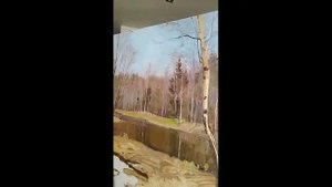 Ефремов Алексей.  "Танец художника".  Прямой эфир 22  4 2022