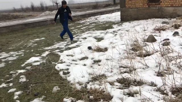 Охота на птиц с рогаткой Часть 2 # смотреть онлайн