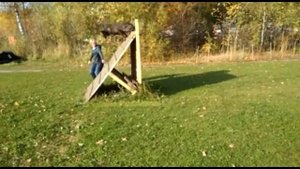 Голландская овчарка. Опорный прыжок через глухой барьер