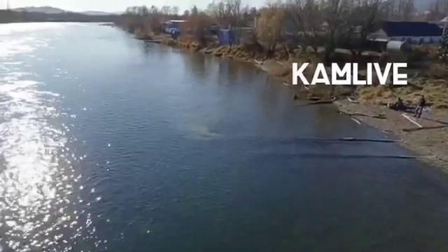Канализационные выпуски в реку Авачу. Елизово. Экология Камчатки