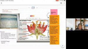 PRESENTATION Bio T5 revision  (bab 5-9)