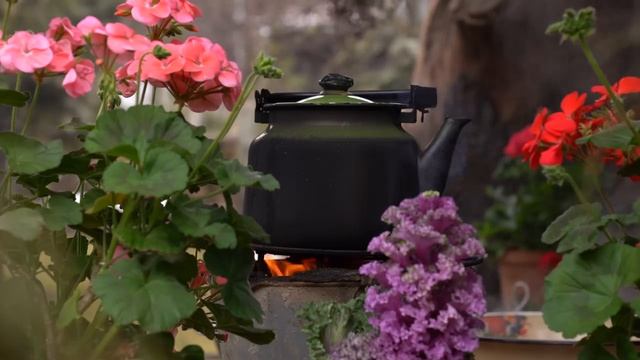 Консервируйте яблоки   для выпечки печенья Азербайджанская Кухня Деревенская Кухня  Рецепты