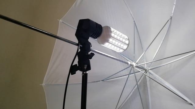 como cultivar suculentas en interior secretos profesionales donsuculento смотреть онлайн