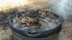 РАКИ В КАЗАНЕ НА КОСТРЕ!!!