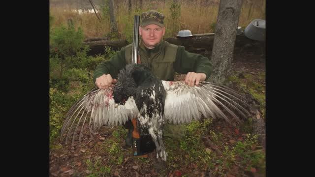 Обзор_ Какой калибр выбрать для охоты.  20 калибр!