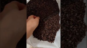 Подушка из гречневой лузги
