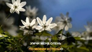 Лесной олень. Караоке. Аида Ведищева