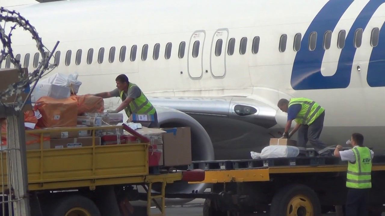 Аэропорт Внуково смотреть онлайн