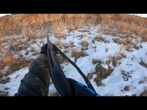 ЗАЯЦ СКОРОХОД. ОХОТА НА ЗАЙЦА 2020.ЛУЧШИЕ МОМЕНТЫ ОХОТЫ НА ЗАЙЦА.