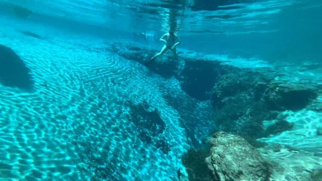 ? Обжорство РЫБНЫЙ день КРЕВЕТКИ ? Gilchrist Blue Spring solo female Vanlife Florida USA 17.05.202 смотреть онлайн