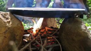 мальчики дикари готовят осьминога и вкусно кушают