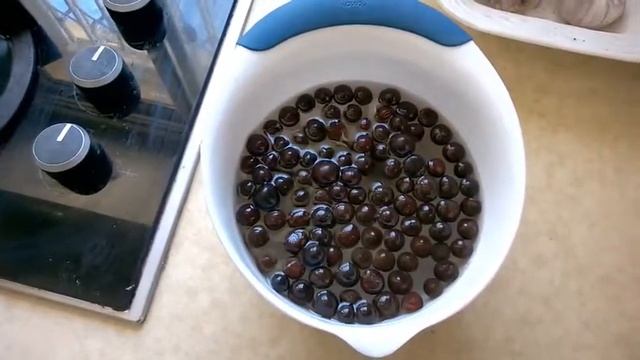 Tea Seeds - Camellia Sinensis seed soaking смотреть онлайн