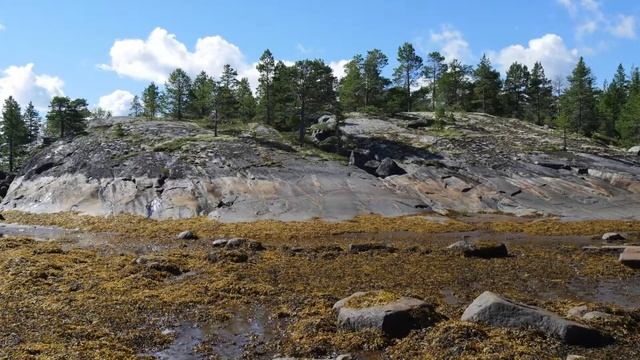 Святыни северной Руси смотреть онлайн