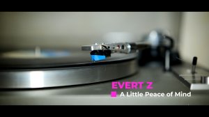 Evert Z - A Little Peace of Mind (Cinematic,Acoustic)
Музыка без авторских прав