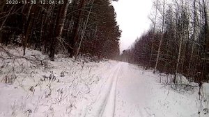 Охота на зайца с РПГ