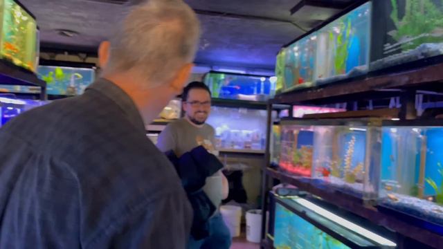 This Is The BEST Tropical Fish Selection I've Ever Seen *Tour* смотреть онлайн