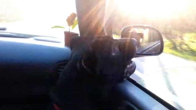 Кусая воздух в рот идущий! смотреть онлайн