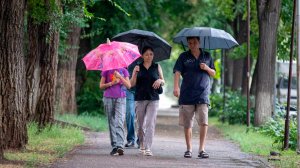 Дожди пришли в Казахстан, жара не отпускает Беларусь. Погода в СНГ