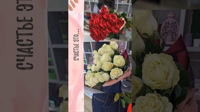 Spbroza.ru Купить розу в Санкт Петербурге. Доставка цветов