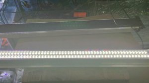 Светильник для аквариума Зелаква 90 см,LED