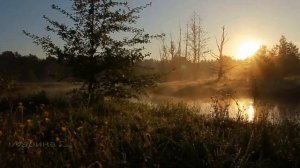 Родники ... (гр. Аура - Юлия Быкова)