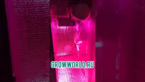 ГРОУБОКС SUPER SILENT СТЕЛС В100хД40хГ40см LED 150w multi