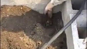 Как вырастить мешок картошки с одного квадратного метра земли. Байкал ЭМ-1.