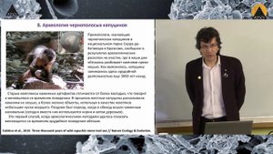 Александр Марков: "Открытия в эволюции. Итоги 2019 года"