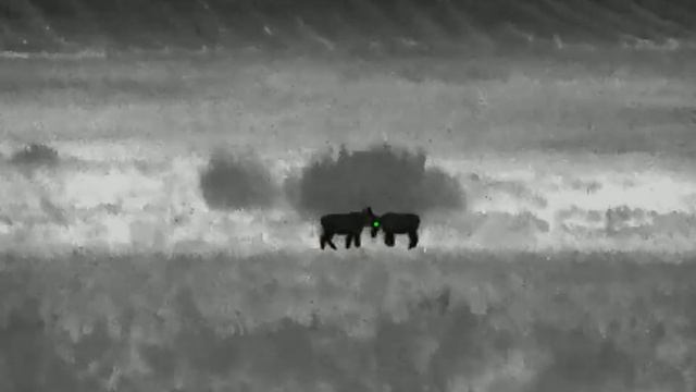 Iray SCT 35 V2 . Гон в самом разгаре . смотреть онлайн