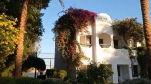 Sharm el Sheikh. Falcon Hills 3*.  Маленький обзор территории. Бассейны, пальмы.