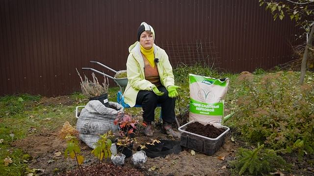 Кислый торф. Кому подходит и как использовать. смотреть онлайн