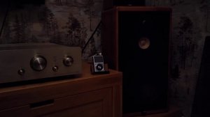 Denon pma-s1 Canton ct-1000 Backedhead