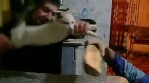 кокушки по жопушке