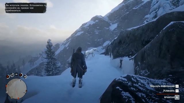 RDR2. Арабская супер-чудо-быстрая лошадь. искать или купить-что лучше?