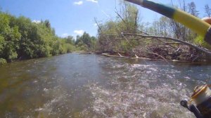 Рыбалка на реке Ульбинка 2022г.