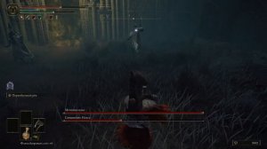 Elden Ring Мечница нокс Священник Нокса