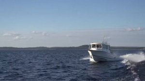 Катер для рыбалки и отдыха Alaskan Ranger 860 | Катер из США