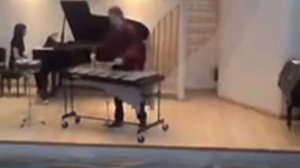 David Fridman Wind Vibraphone .wmv