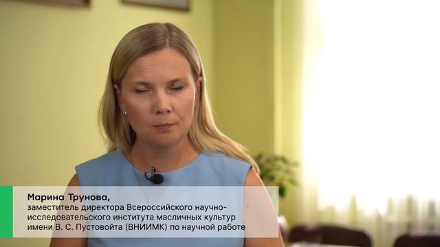 Селекция подсолнечника в России: перспективы импортозамещения