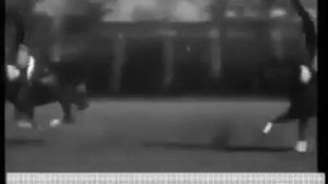 Кубанские казаки.