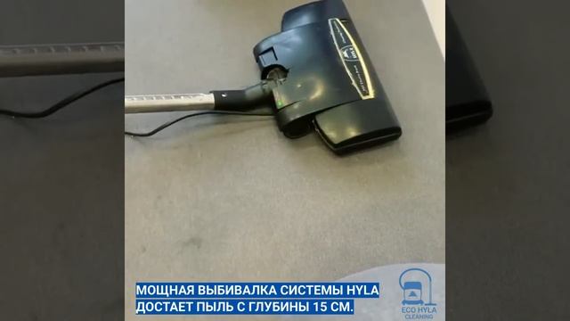 Глубокая чистка дивана от мочи в домашних условиях