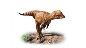 Детям про Динозавров ПАХИЦЕФАЛОЗАВР Видео для Детей Сказка про Динозавров Lion boy