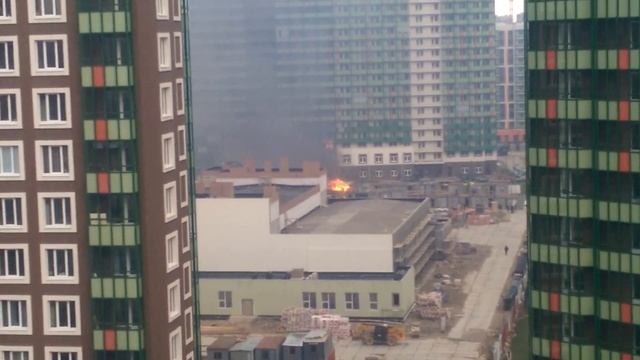 Мурино Гринландия смотреть онлайн