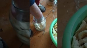 Грузди холодным способом в собственном соку. Хрустящие грибы!