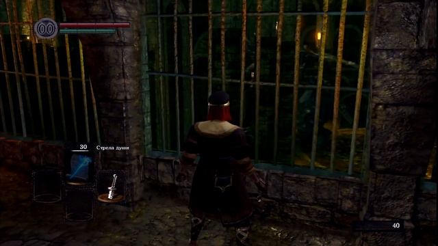Установка Dark Souls Remastered на Steam Deck. Любителям подорвать пукан