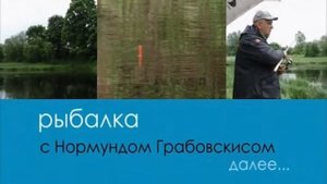 Серия 68. Поплавок. Рыбец в маленькой реке. Рыбалка с Нормундом Грабовскисом.