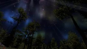 Звуки ночного леса.Sounds of the night forest