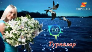 Турналар 🔊🔊🔊🇰🇬🇰🇬🇰🇬